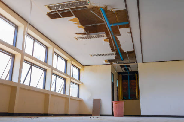 Best Residential water damage restoration  in Wymore, NE