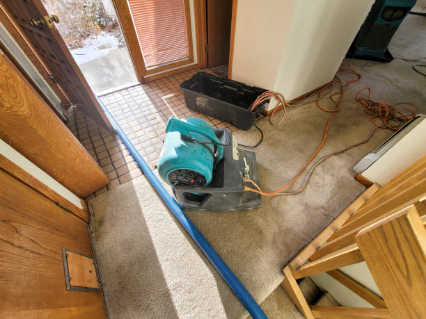 Best Sewage cleanup and water damage restoration  in Wymore, NE