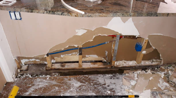 Best Water damage contractors near me  in Wymore, NE