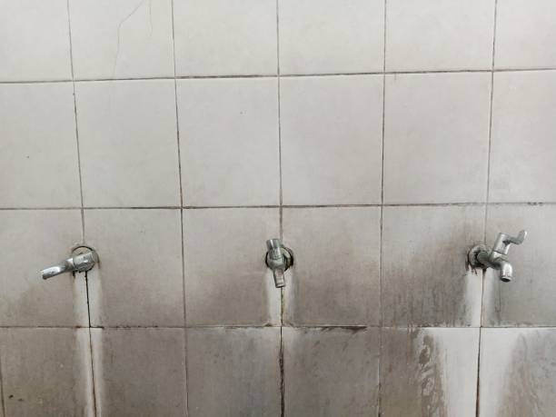 Best 24/7 water damage repair  in Wymore, NE