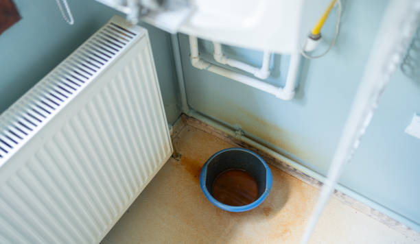 Best Flood damage cleanup  in Wymore, NE