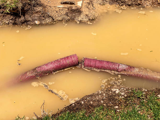 Best Water damage cleanup near me  in Wymore, NE